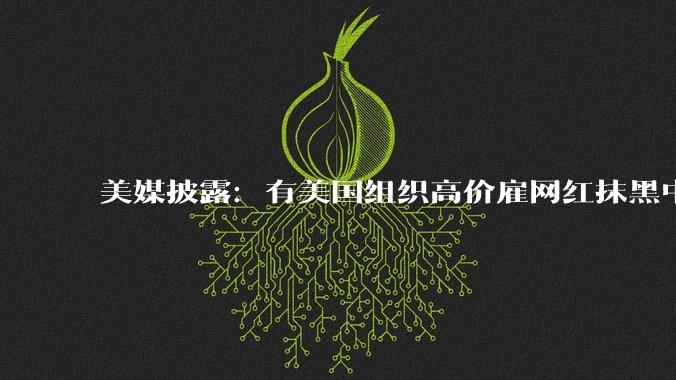 美媒披露：有美国组织高价雇网红抹黑中国AI产业，相关资金来自美AI巨头_泰勒·洛伦茨_OpenAI_提尔
