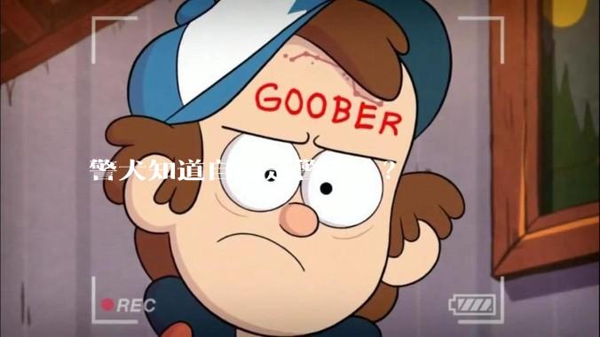 警犬知道自己是警犬么？